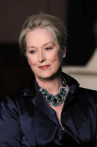 Meryl Streep Fridge Magnet picture 197615