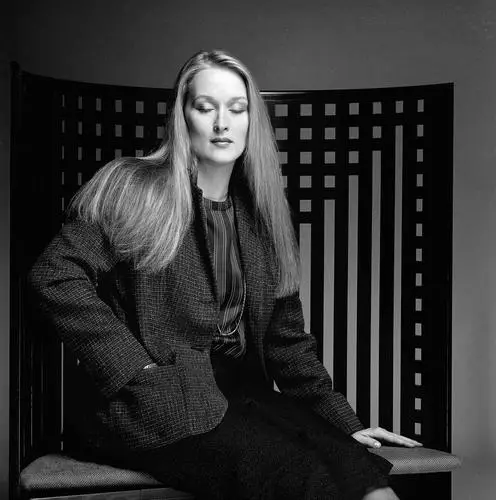 Meryl Streep Jigsaw Puzzle picture 197623