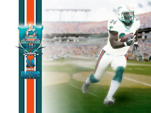 Miami Dolphins Jigsaw Puzzle picture 52602