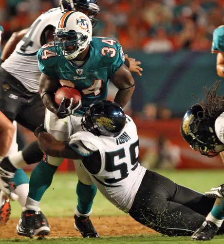 Miami Dolphins Jigsaw Puzzle picture 52608