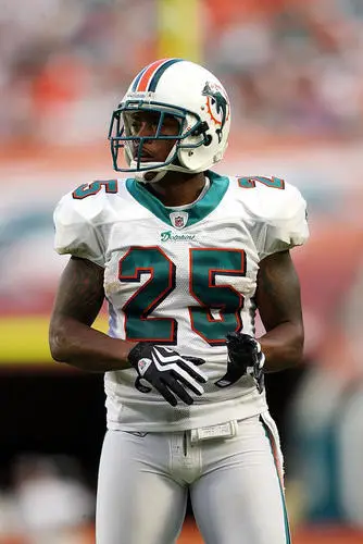 Miami Dolphins Image Jpg picture 52613