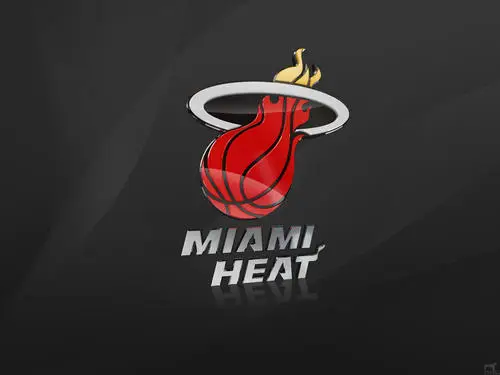 Miami Heat Fridge Magnet picture 148452