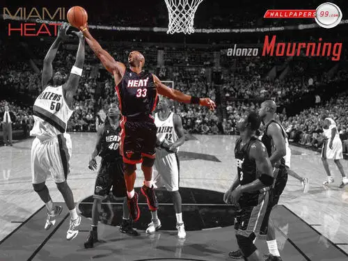 Miami Heat Wall Poster picture 148489
