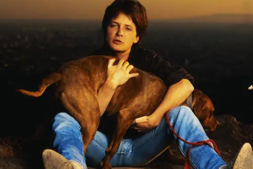 Michael J Fox Wall Poster picture 314996