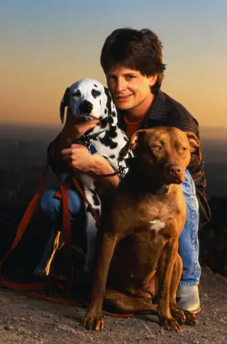 Michael J Fox Wall Poster picture 314998