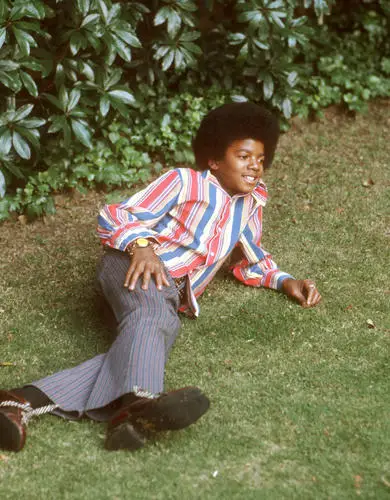 Michael Jackson Fridge Magnet picture 148849