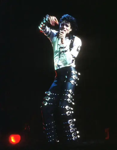 Michael Jackson Fridge Magnet picture 148964