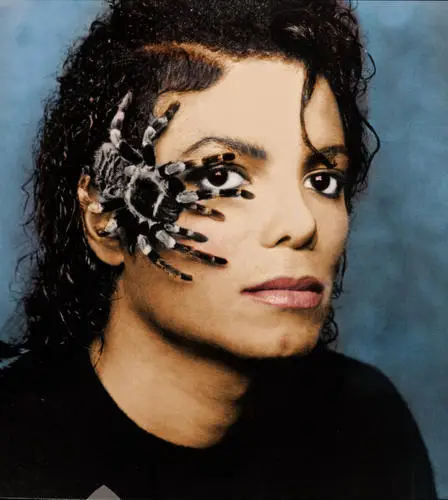 Michael Jackson Jigsaw Puzzle picture 188104
