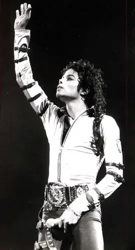 Michael Jackson Fridge Magnet picture 65817