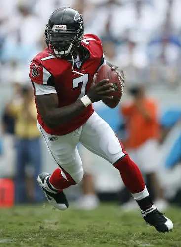 Michael Vick Wall Poster picture 98010