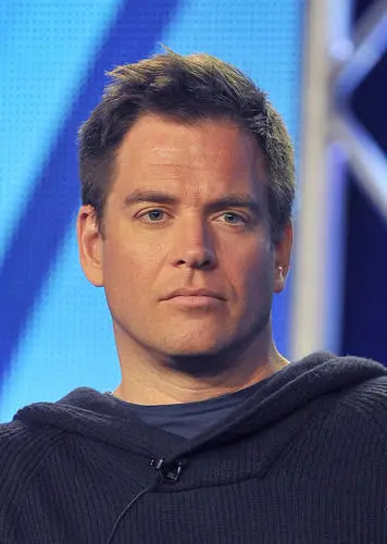 Michael Weatherly Wall Poster picture 149458