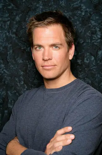 Michael Weatherly Jigsaw Puzzle picture 481176
