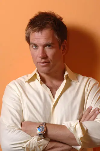 Michael Weatherly Wall Poster picture 500538