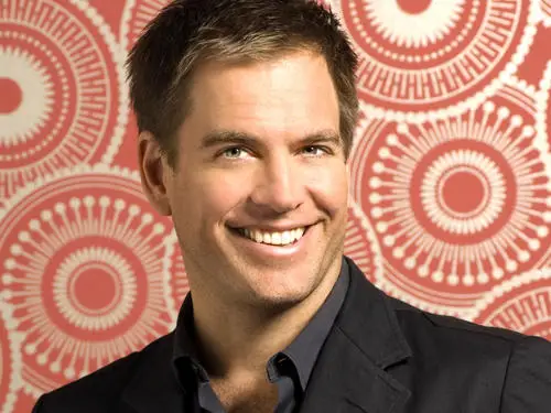 Michael Weatherly Jigsaw Puzzle picture 79753