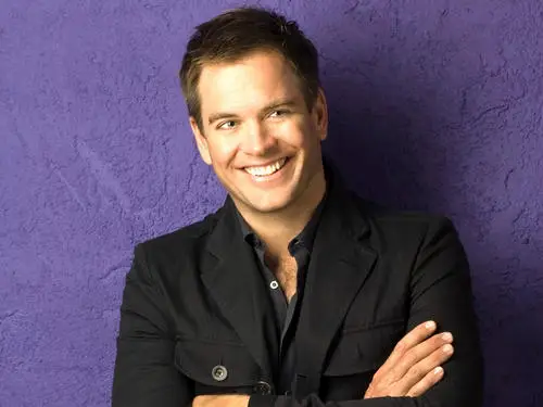 Michael Weatherly Jigsaw Puzzle picture 79754