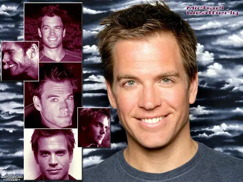 Michael Weatherly Wall Poster picture 85566