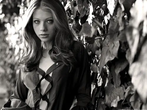 Michelle Trachtenberg Wall Poster picture 184168