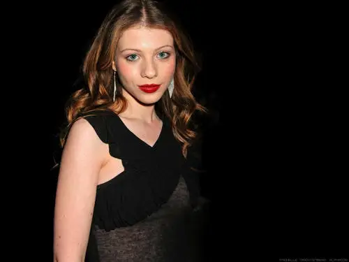 Michelle Trachtenberg Wall Poster picture 184195