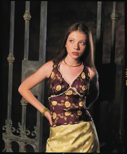 Michelle Trachtenberg Wall Poster picture 534862