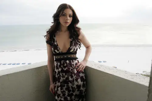 Michelle Trachtenberg Wall Poster picture 534870