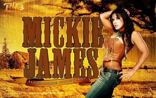 Mickie James Wall Poster picture 96540