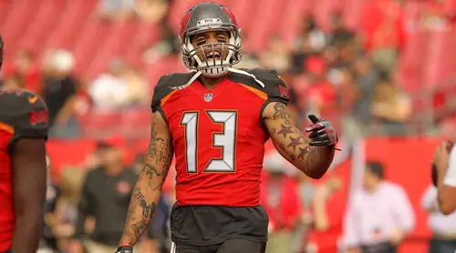 Mike Evans Protected Face mask - idPoster.com
