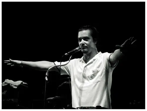 Mike Patton Wall Poster picture 118508