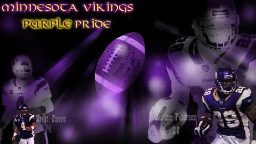 Minnesota Vikings Fridge Magnet picture 58360
