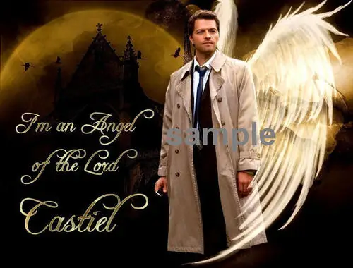 Misha Collins Wall Poster picture 149962