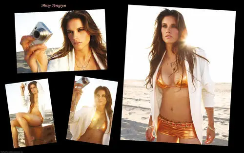 Missy Peregrym Wall Poster picture 790456