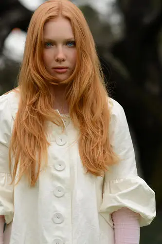Molly Quinn Wall Poster picture 791519