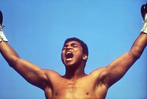 Muhammad Ali Jigsaw Puzzle picture 15908