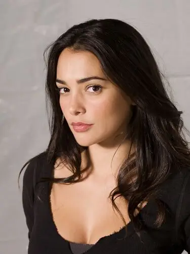 Natalie Martinez Wall Poster picture 482467
