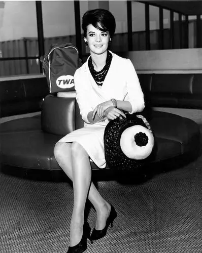 Natalie Wood Wall Poster picture 255992