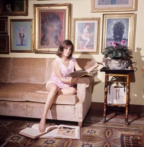 Natalie Wood Wall Poster picture 317224