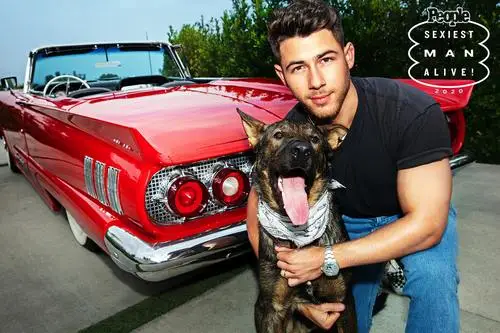 Nick Jonas Wall Poster picture 16717