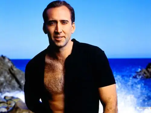 Nicolas Cage Wall Poster picture 16318