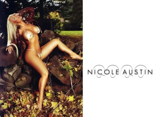 Nicole Austin Wall Poster picture 225415