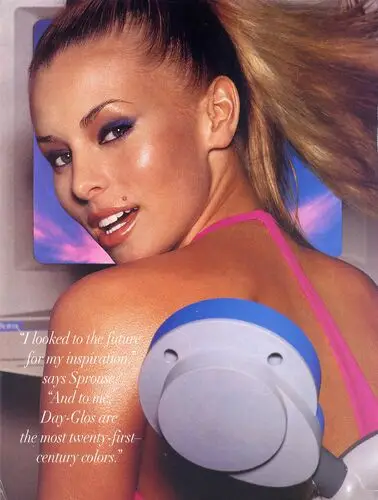Niki Taylor Wall Poster picture 72243