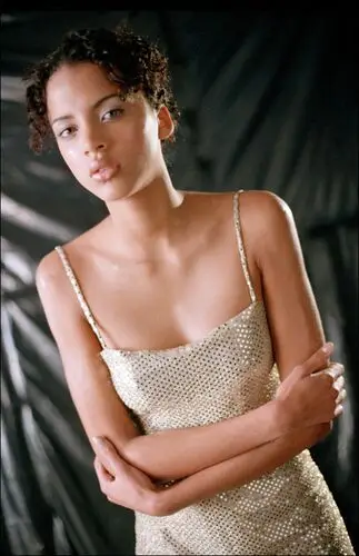 Noemie Lenoir Wall Poster picture 802147