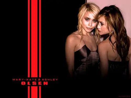Olsen Twins Wall Poster picture 257523
