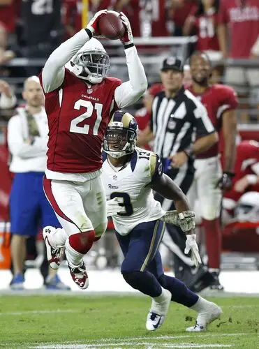 Patrick Peterson Wall Poster picture 721200