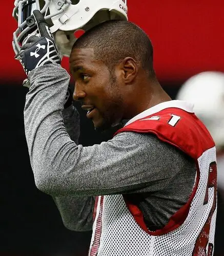 Patrick Peterson Wall Poster picture 721201