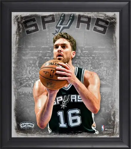 Pau Gasol Wall Poster picture 714781