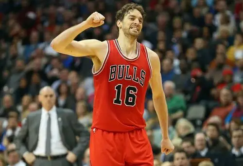 Pau Gasol Wall Poster picture 714789