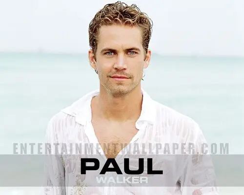 Paul Walker Wall Poster picture 111333