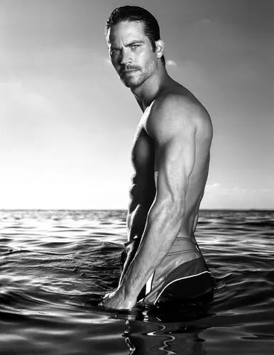 Paul Walker Wall Poster picture 16959
