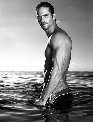 Paul Walker Wall Poster picture 218552