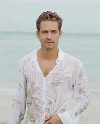 Paul Walker Wall Poster picture 318653