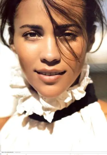 Paula Patton Wall Poster picture 258243